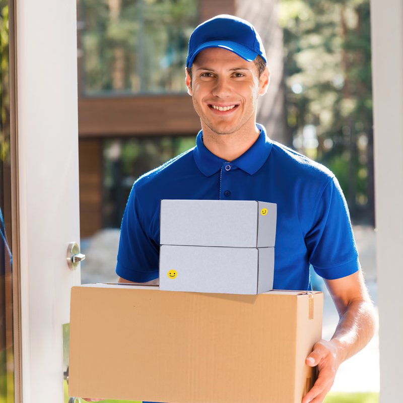 25 Pack White Cardboard Shipping Boxes for Packing & Mailing - Multiple Sizes