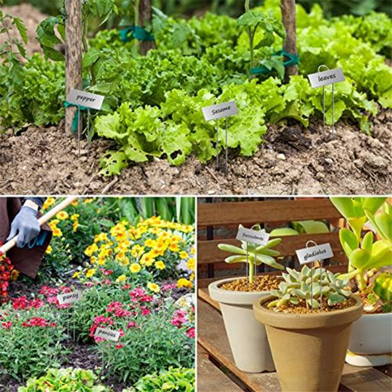 30-Pack Stainless Steel Garden Plant Labels Weatherproof Reusable Markers