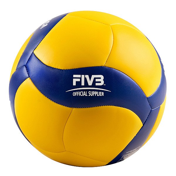 Official Size Volleyball - Indoor/Outdoor Recreational and Competitive Play