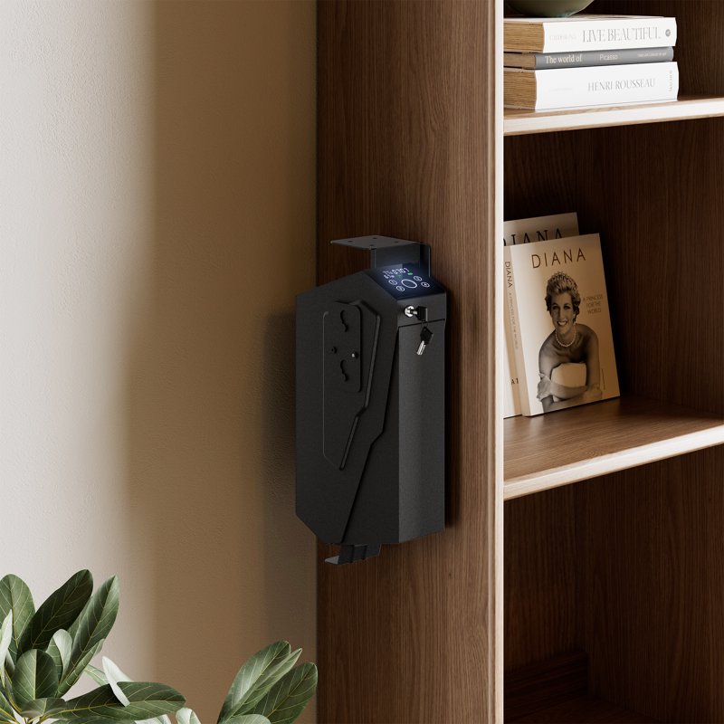 Biometric Safe with Fingerprint & Passcode - Compact Security Box for Home & Office