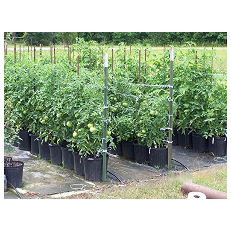 Heavy Duty Garden Twine 6300ft UV Resistant Plant Support Rope for Trellising