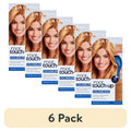 Permanent Hair Dye Kit for Root Touch-Up - Long-Lasting Gray Coverage