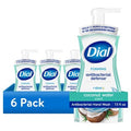 Antibacterial Foaming Hand Soap with Coconut Water Scent - 6 Pack