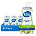 Antibacterial Foaming Hand Soap with Fresh Pear Scent - 6 Pack