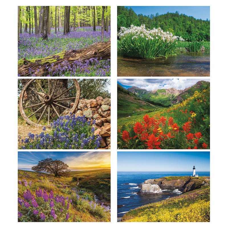 Wildflowers Wall Calendar 2027 - Scenic Nature Photography, 9x12 Inch