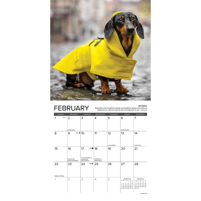 Dachshund Rules 2026 Mini Wall Calendar - Dog Lover Gift