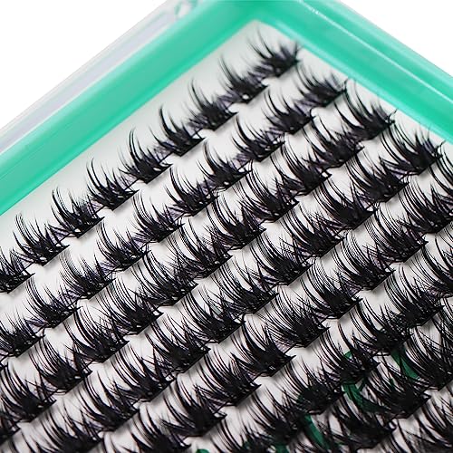 Bodermincer XXXL Tray 336PCS D Curl Cluster Lashes 10-12-14-16mm Mixed Length DIY Eyelashes Extension at Home (M02-D Curl 10-12-14-16mm Mixed)