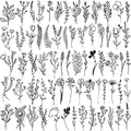 Cerlaza 75 Styles Tiny Black Flower Branch Temporary Tattoos For Women, 16 Sheets Realistic Wild Flower Floral Small Fake Tattoo Adults, Christmas Tattoo Stickers for Hands Legs Body Sticker