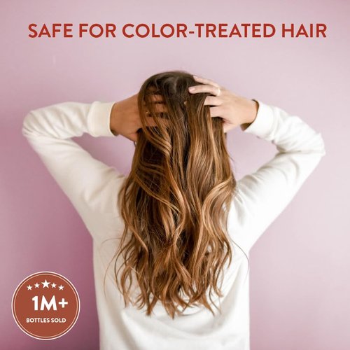 Routine Wellness Conditioner for Stronger Hair - Vegan, All Natural Biotin Conditioner with Nourishing Oils and Vitamins - Rose Hips 14oz