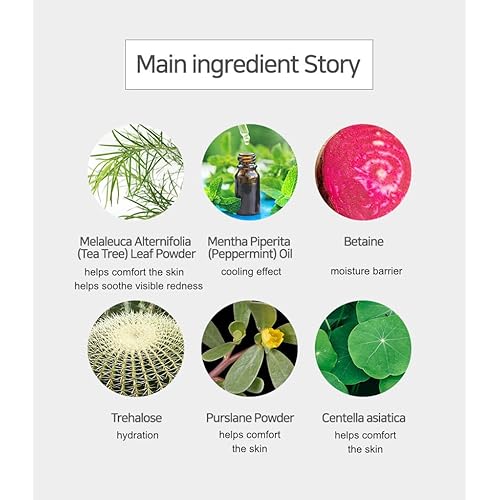 Modeling Mask with Tea Tree ? NEEDS NATURE Korean Rubber Mask for Face ? Cooling & Skin Balancing Spa Pack | 1000g Set with tool