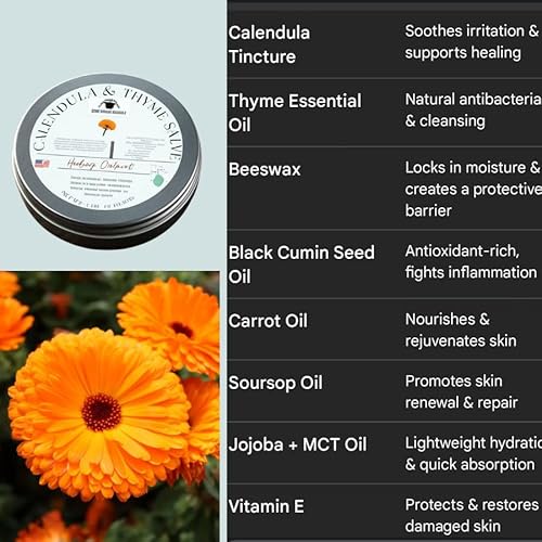 Calendula & Thyme Healing Salve - Natural Herbal Balm with Beeswax, Black Cumin Seed Oil & Soursop for Dry Skin, Cuts, Scrapes, Eczema, Burns & Irritation - 2 oz