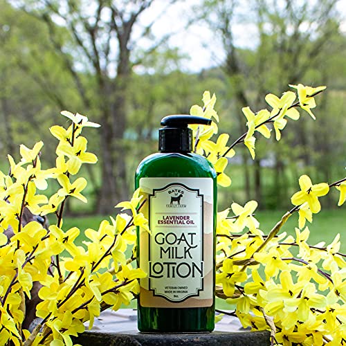 Goat Milk, Essential Oil, and Shea Butter Lotion 8 oz (Lavender)