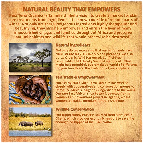 Shea Terra Organics Shea Nilotik¡¯ Oil Fragrance Free For Sensitive Skin |Natural Skin Daily Moisturizer - 8 oz