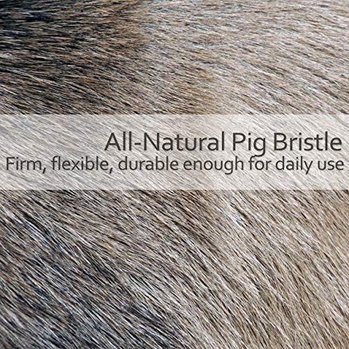 Redecker Natural Pig Bristle Nail Brush with Waxed Olive Wood Handle, 3-3/4-Inches