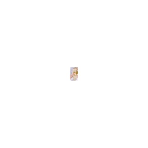 PHYTO SOFTNESS Express Detangling Milk