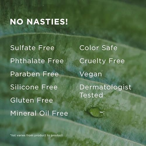 Hairitage Wash It Away Anti-Dandruff Shampoo - For Flaky, Itchy, Oily Scalp - Dandruff Shampoo Treatment - Eliminate Scalp Itching + Irritation + Flaking - 13 fl oz