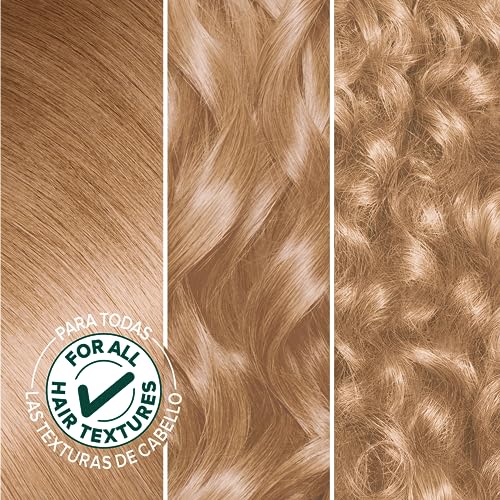 Clairol Nice'n Easy Permanent Hair Dye, 11 Ultra Light Blonde Hair Color, Pack of 3