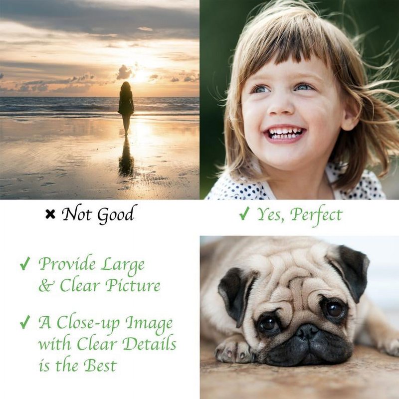 Personalized Pet Dog Tag Necklace with Portrait Pendant - Engravable Stainless Steel