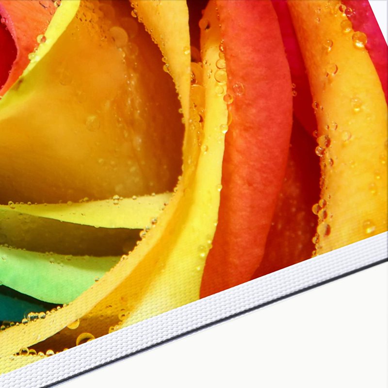 Large Format Canvas Roll for Inkjet Printing Waterproof Matte 290gsm Wide