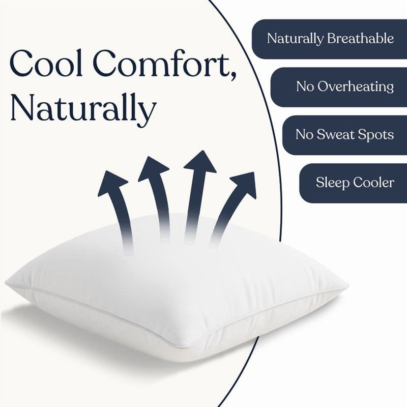 Delara 22x22 Pillow Inserts Set of 2 - Organic Cotton Shell, Recycled Down Fill