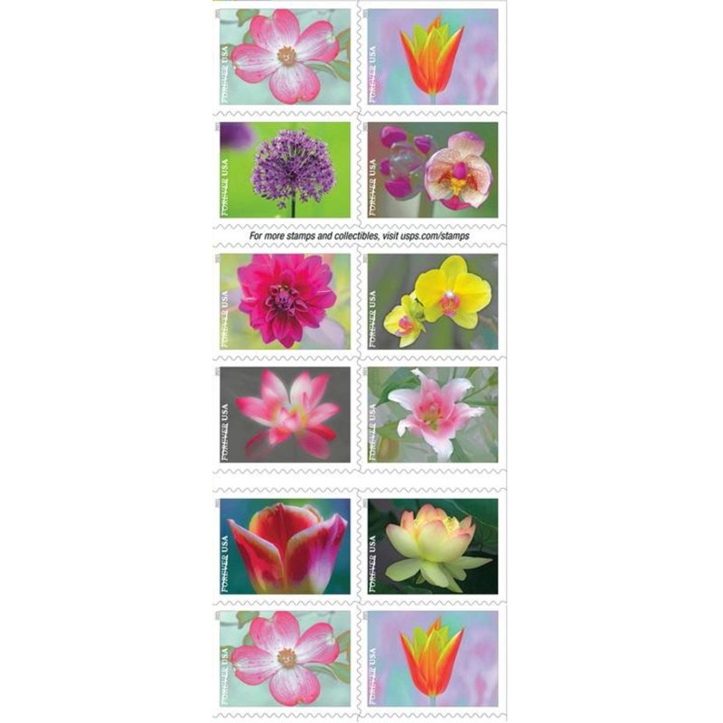 USPS Garden Beauty 2021 Forever Postage Stamp Booklet - 20 First-Class Flowers