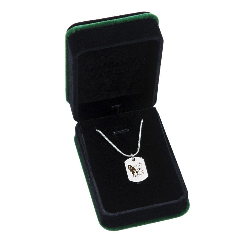 Pet Cremation Necklace Dog Tag Memorial Jewelry with Funnel Kit - Stainless Steel