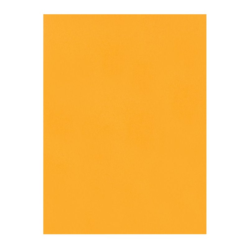 9 x 12 Catalog Envelopes with Self-Seal Closure - Kraft Office Mailers, 250 Pack