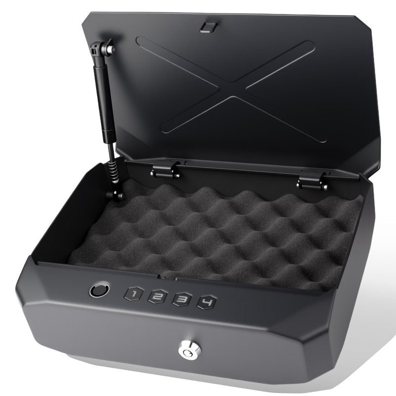 Biometric Fingerprint Gun Safe for Pistols & Valuables, 2-3 Revolvers Storage