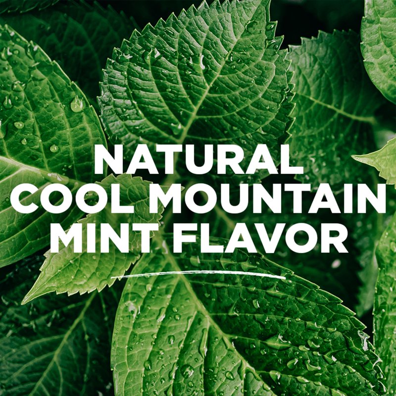 Natural Alcohol-Free Mint Mouthwash - Long-Lasting Fresh Breath 16oz