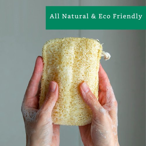 Natural Loofah Exfoliating Sponge (3 Pack) - Loofa Exfoliating Body Scrubber - Biodegradable Organic Loofah Sponge - Shower Luffa Sponges - Shower Lufa - Estropajos para el Cuerpo