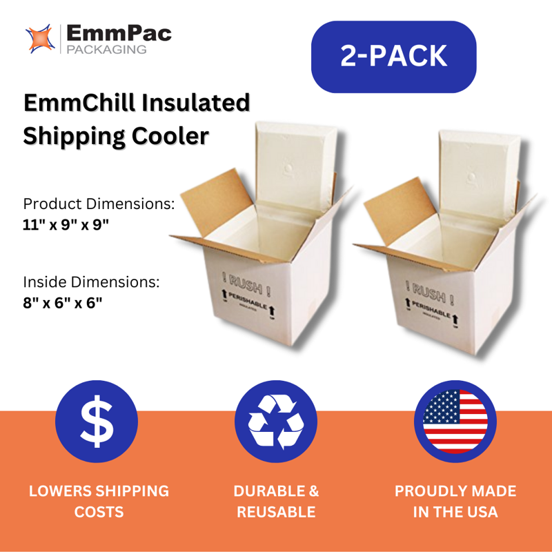 Insulated Shipping Cooler Pack of 2 – 11 x 9 x 9 Inches, Reusable Food & Temperature Shipping Box