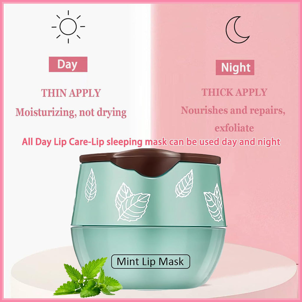 Tnoctuh 4 PCS Bee Lip Balm Lip Mask Honey Pot, Coconut Honey Mint Grape Moisturizing Sleeping Lip Mask Overnight with Sticks, Lip Balm Exfoliating Prevention Dry and Crack Lip Scrubs