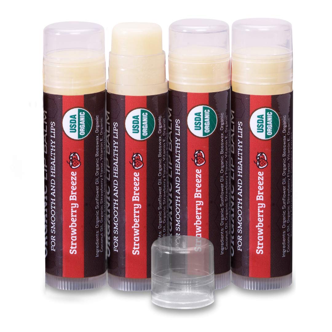 Earth's Daughter USDA Organic Lip Balm 6-Pack - Fruit Flavors, Beeswax, Coconut Oil, Vitamin E - Best Lip Repair Chapstick for Dry Cracked Lips - Moisturizing Lip Care