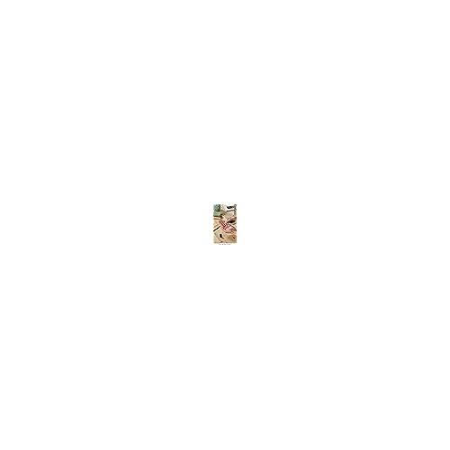 shu uemura art of hair Shiki Worker Multi-Benefit Hair Primer - Shine & Straightening Primer, Reduces Frizz and Smooths Texture, For Air-Drying and Blowouts, 5 Fl Oz