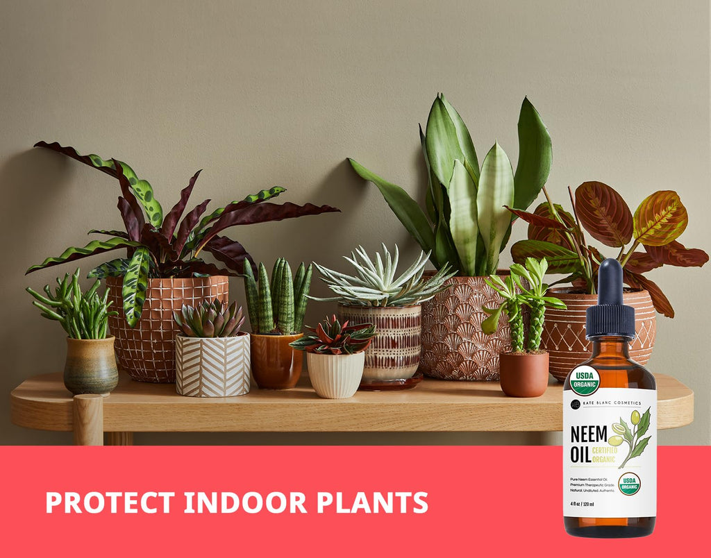 Kate Blanc Cosmetics Neem Oil for Skin, Hair & Face. Safe for Dog, Plants, Scalp (4oz, Organic, Cold Pressed, Concentrate)
