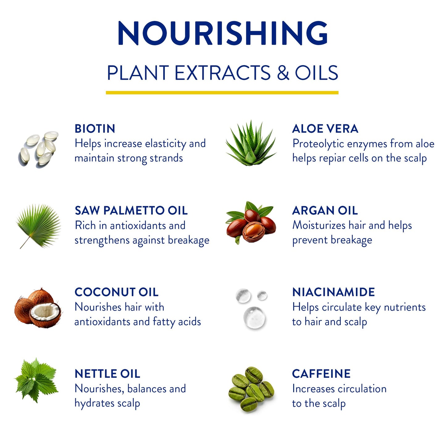 Routine Wellness Anti-Thinning Shampoo for Thinning Hair - Biotin DHT Blocker Women & Men - Color Safe Shampoo for Hair Loss & Healthy Growth - Rose Hips - 14oz