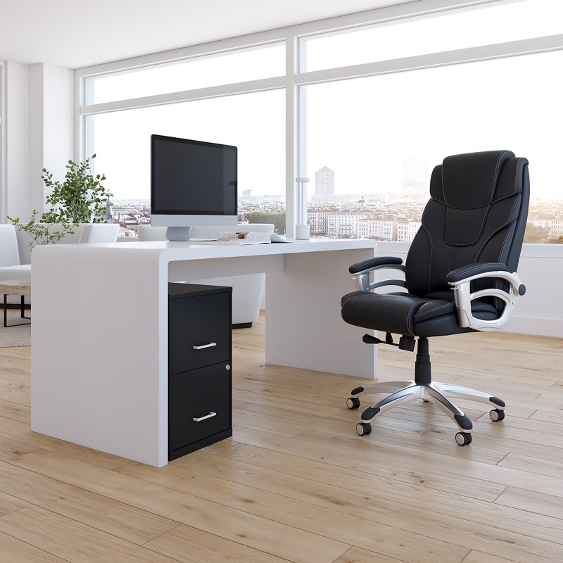 2-Drawer Locking Vertical File Cabinet Black 18D for Office & Home