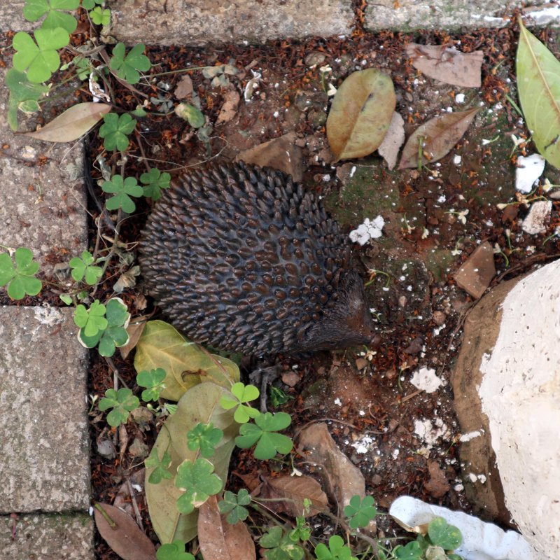 Outdoor Hedgehog Key Hider - Weather-Resistant Fake Rock Safe Lock Box for Garden and Yard