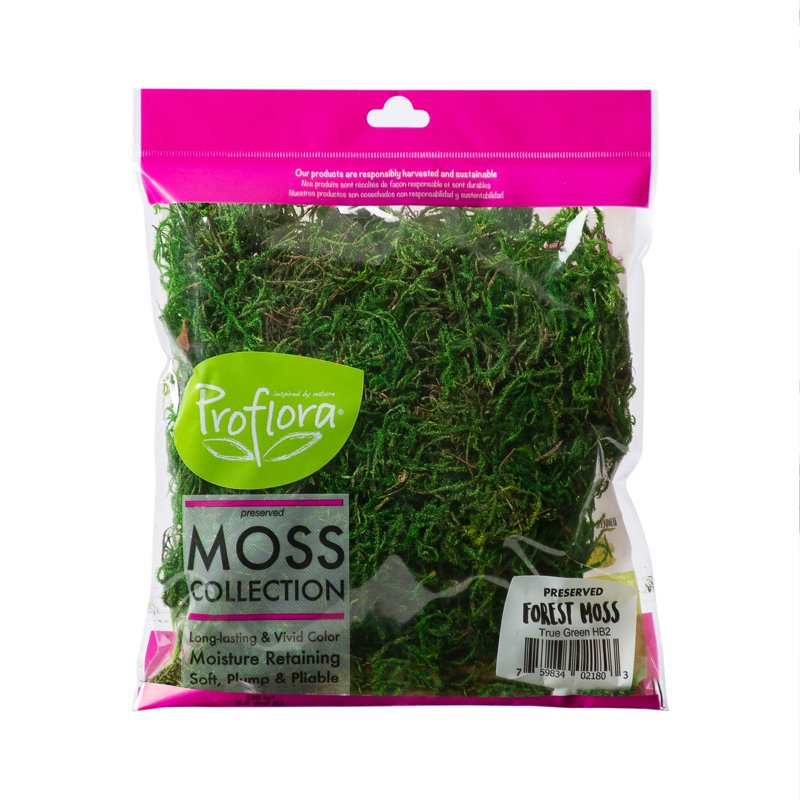 Green Preserved Forest Moss for Floral & Craft Arrangements - 2oz 2 Pack