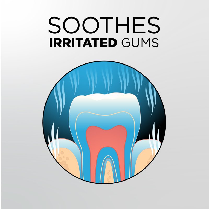 Multipack Mint Toothache Rinse for Oral Pain Relief - 16 fl oz