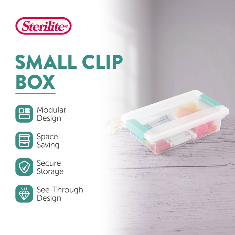 Small Clip Storage Boxes with Lids - Clear Plastic Organizer Set