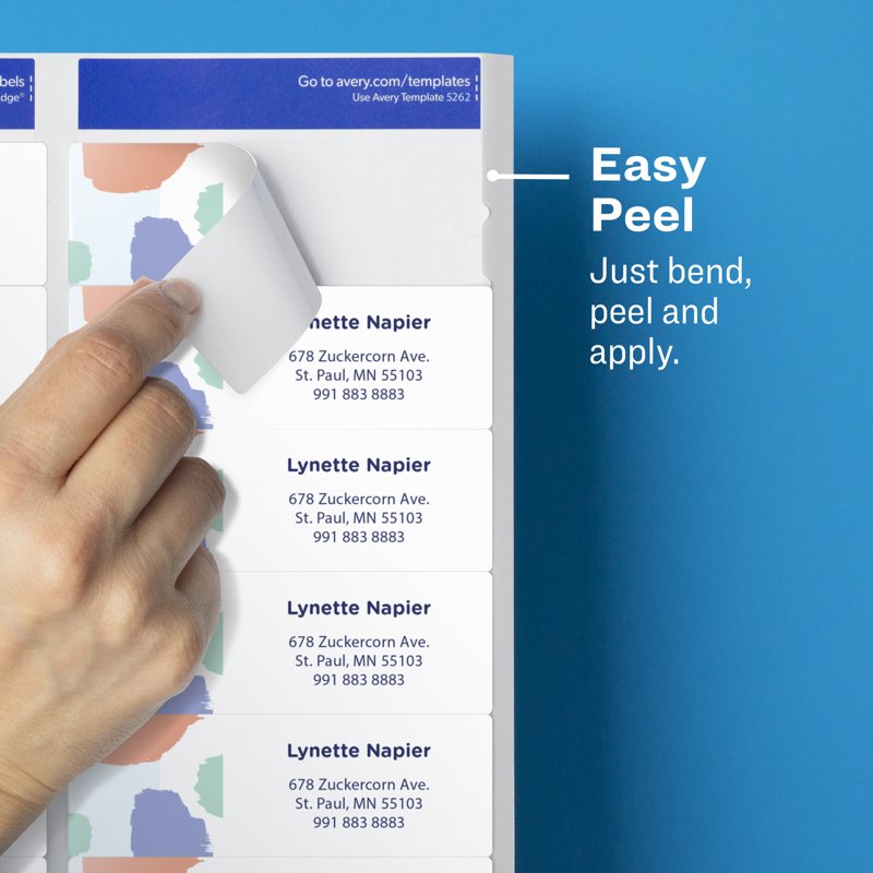 Clear Address Labels 700 Sheets 1-1/3 x 4 Inches Matte Permanent Adhesive