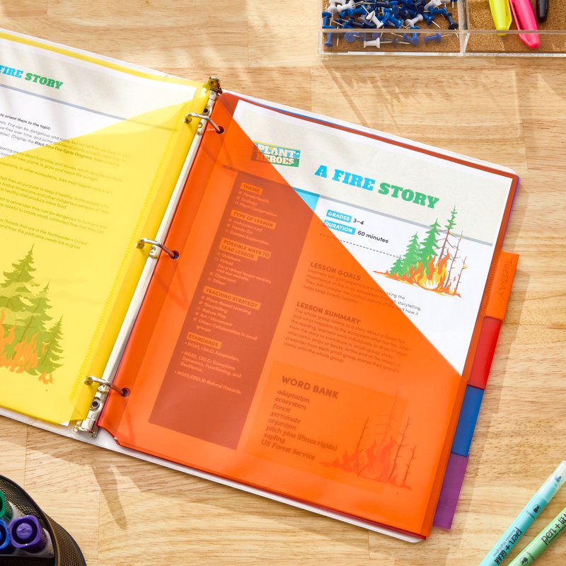 8-Tab Plastic Dividers with Pockets for Binders - Vibrant Colors, Pack of 5 or 8