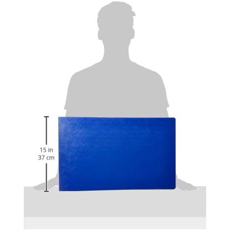 13x19 Document Binder with 1 Inch Angle-D Rings - Durable Poly Cover, Blue