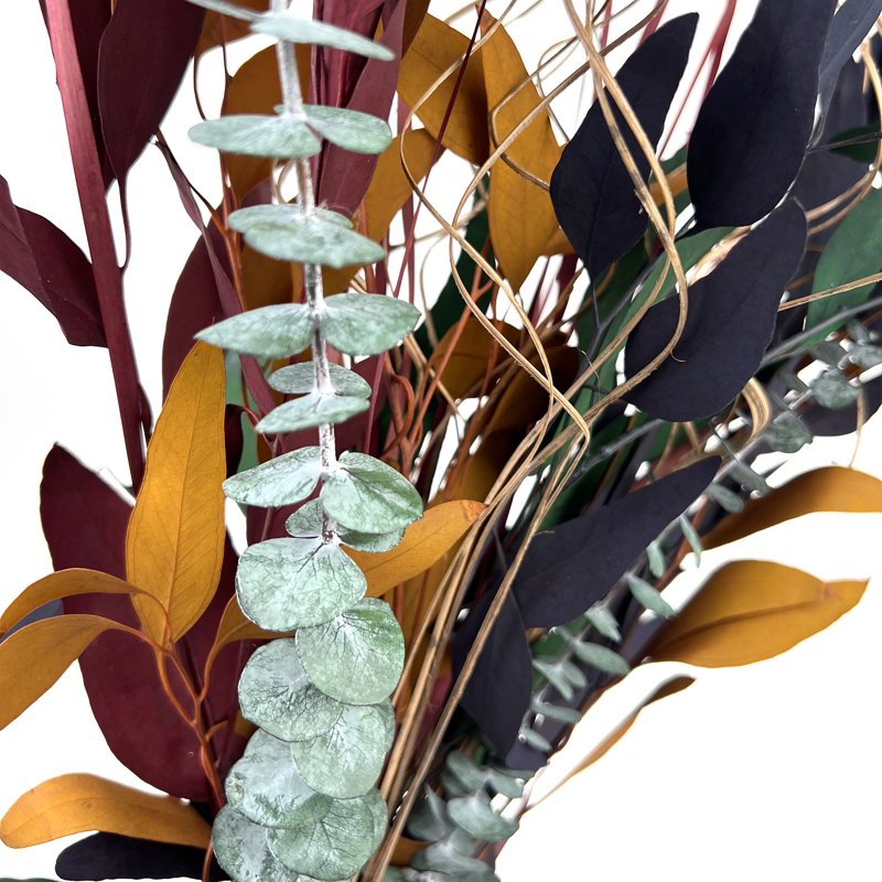 Dried Eucalyptus Bouquet for Home Decor - Multi Pack Available