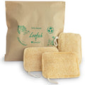 Natural Loofah Exfoliating Sponge (3 Pack) - Loofa Exfoliating Body Scrubber - Biodegradable Organic Loofah Sponge - Shower Luffa Sponges - Shower Lufa - Estropajos para el Cuerpo