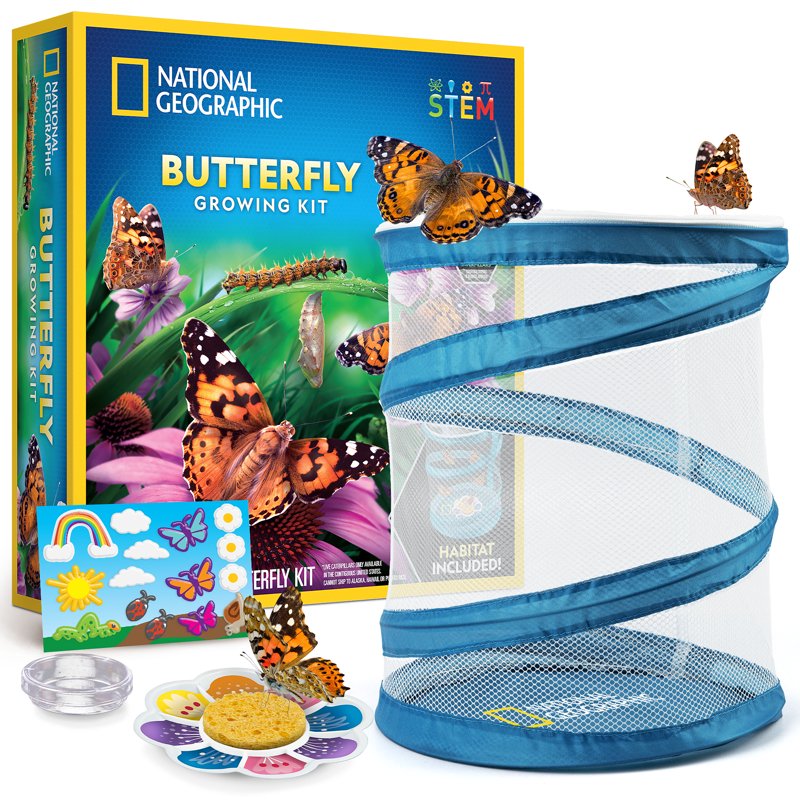 Butterfly Growing Kit with Reusable Habitat & Caterpillar Voucher for Kids 4+