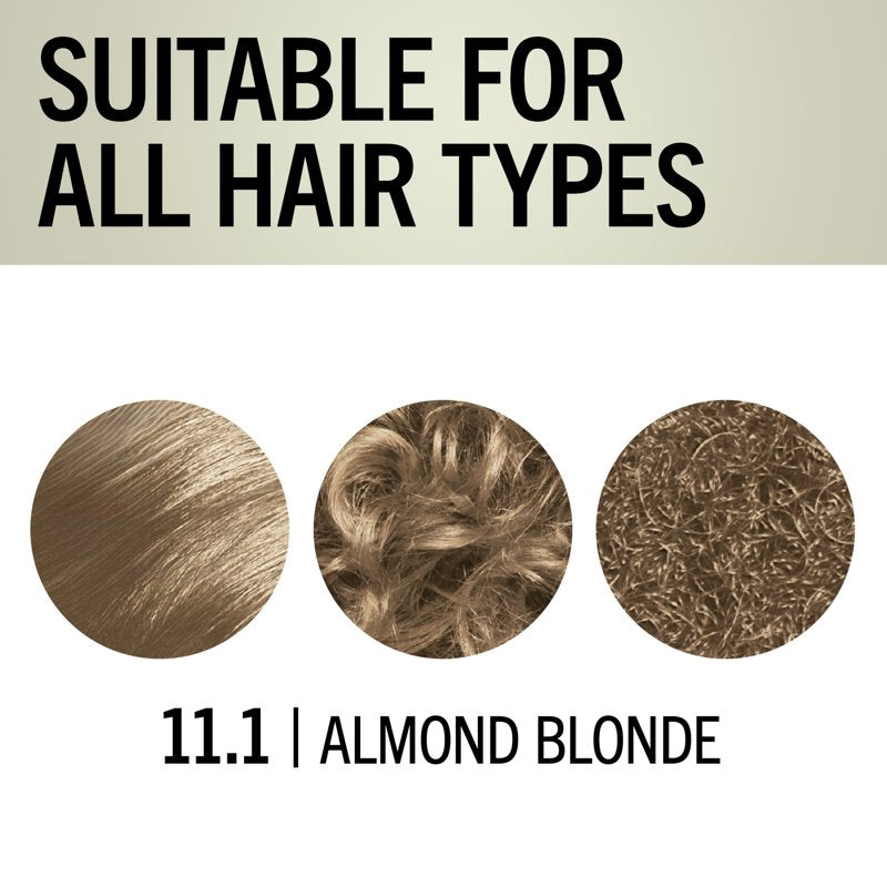 Permanent Hair Dye Kit for Blonde Hair - Multiple Shades, Up to 4 Levels Lift