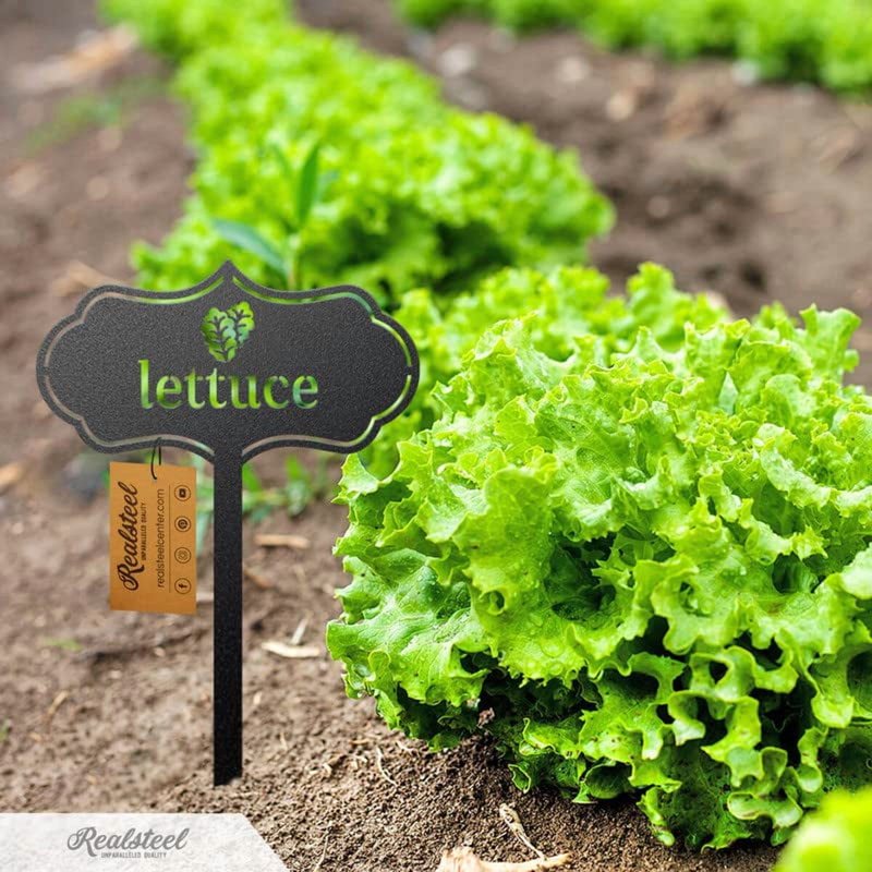Metal Plant Markers for Vegetable & Herb Gardens, Set of 45 Outdoor Stakes