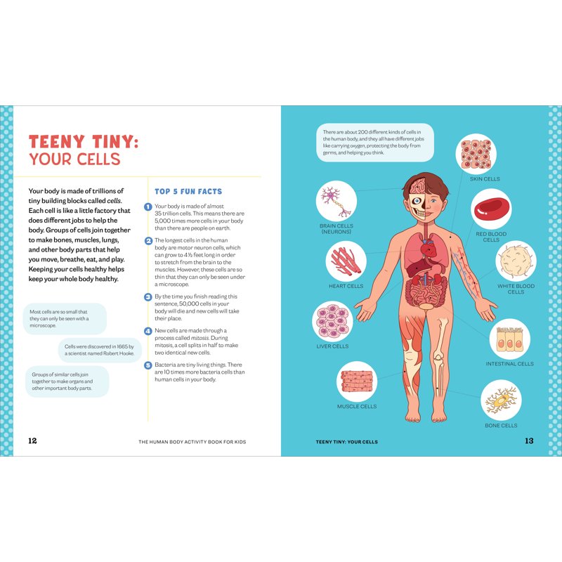 Kids Human Body Activity Book - Fun Anatomy & Science Activities for Ages 4-8